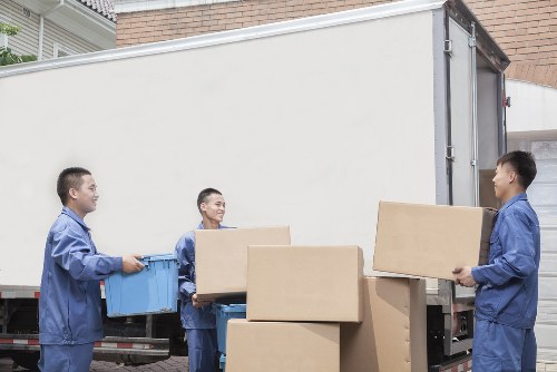 Seasonal household storage boxes and organised home items in Hendon